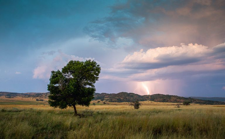 Bateleur Nature Reserve, home to the Stamvrug hiking trails, nestles in a crater-like basin surrounded by low hills. Photo by Teagan Cunniffe. Bateleur Nature Reserve. Stamvrug Hiking Trail, Waterberg Limpopo