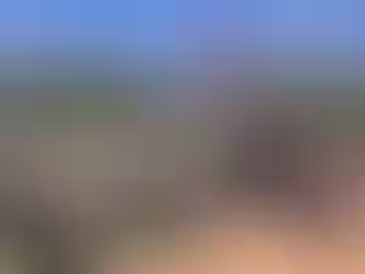 Chin Group in Japan Rejects AA Move on Paletwa