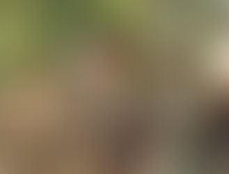 Arakan Army Forcibly Conscripts 14 Rohingya Youths in Buthidaung