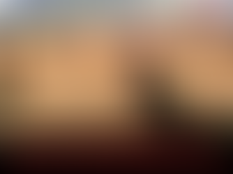 Around 70 Rohingya Taken from Sittwe to LIB 270 for Military Training