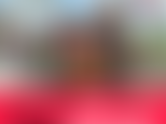 AA Builds New Rakhine Village on Rohingya Land in Sin Oe Pyin Ywar Gyi (Saow Parang), Buthidaung Township