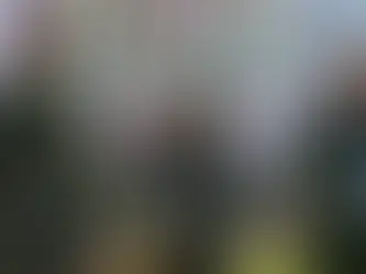 AA Orders Rohingya Wards in Maungdaw to Provide 25 Recruits Each