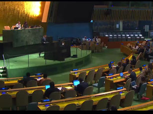 “Speech by the Observer of the International Institute for Democracy and Electoral Assistance at the UN High-Level Conference on the Situation of Rohingya Muslims and Other Minorities in Myanmar.”