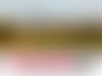 Illegal Rakhine Settlement Built on Land of Displaced Rohingya in Maungdaw