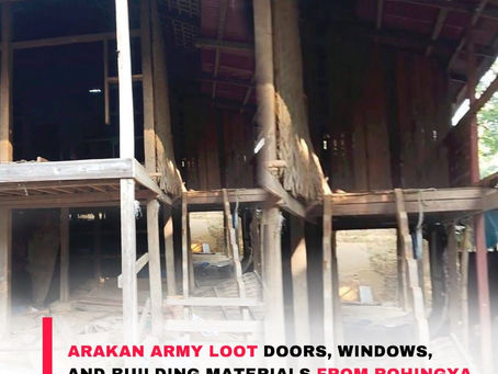📸 | Photo: Arakan Army Forces Loot Doors, Windows, and Building Materials from Rohingya Homes in Maungdaw Township