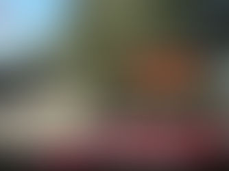 Arakan Army Still Blocks Rohingya From Returning to Their Villages