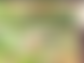 Rohingya Youth Brutally Murdered in Ghumdum Area