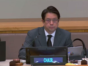 Statement by the Representative of Germany at the Interactive Dialogue on Myanmar with the Third Committee of the General Assembly.