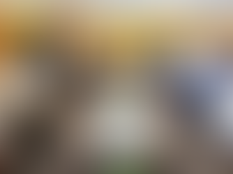 Jamaat-e-Islami Proposes Independent Arakan State During Meeting with Chinese Communist Party