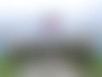 AA Abducts Three Rohingya from Hanndaung