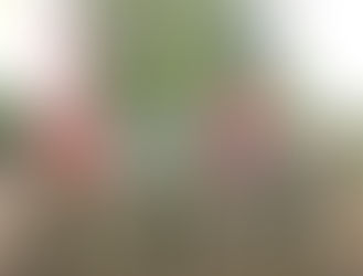 Arakan Army Detains Rohingya Returnees to Maungdaw and Rapes Women, Former Detainees Say