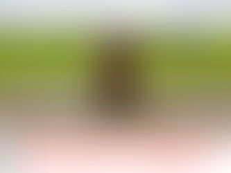 Several Hundred Rohingyas Stranded Along Naf River in Myanmar