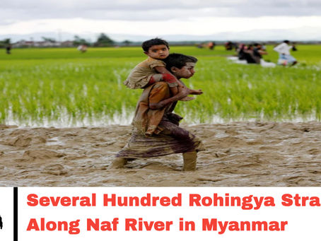 Several Hundred Rohingyas Stranded Along Naf River in Myanmar