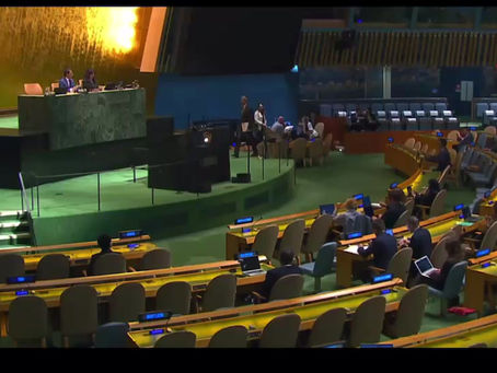 “Speech by the representative of Saudi Arabia at the UN High-level Conference on the Situation of Rohingya Muslims and Other Minorities in Myanmar.”