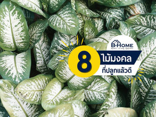 8 ต้นไม้มงคล ปลูกแล้วดีย์ย์ย์