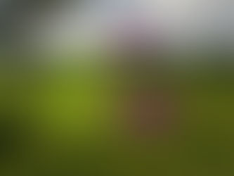 Exercise and mental health: why it is important