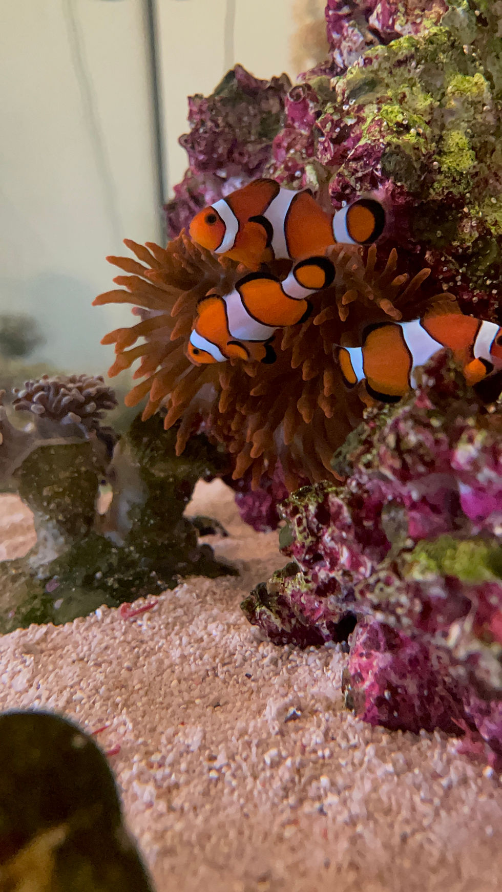 Saturday is perfect beach weather