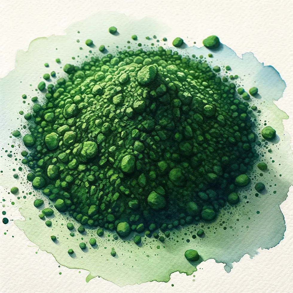 Spiruline : La superstar des algues vertes