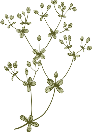 Botany