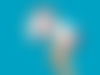 Elevando sua marca em 2024