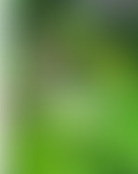 Powerful Mutuba Penis Enlargement & Power Booster in SA +27769581169