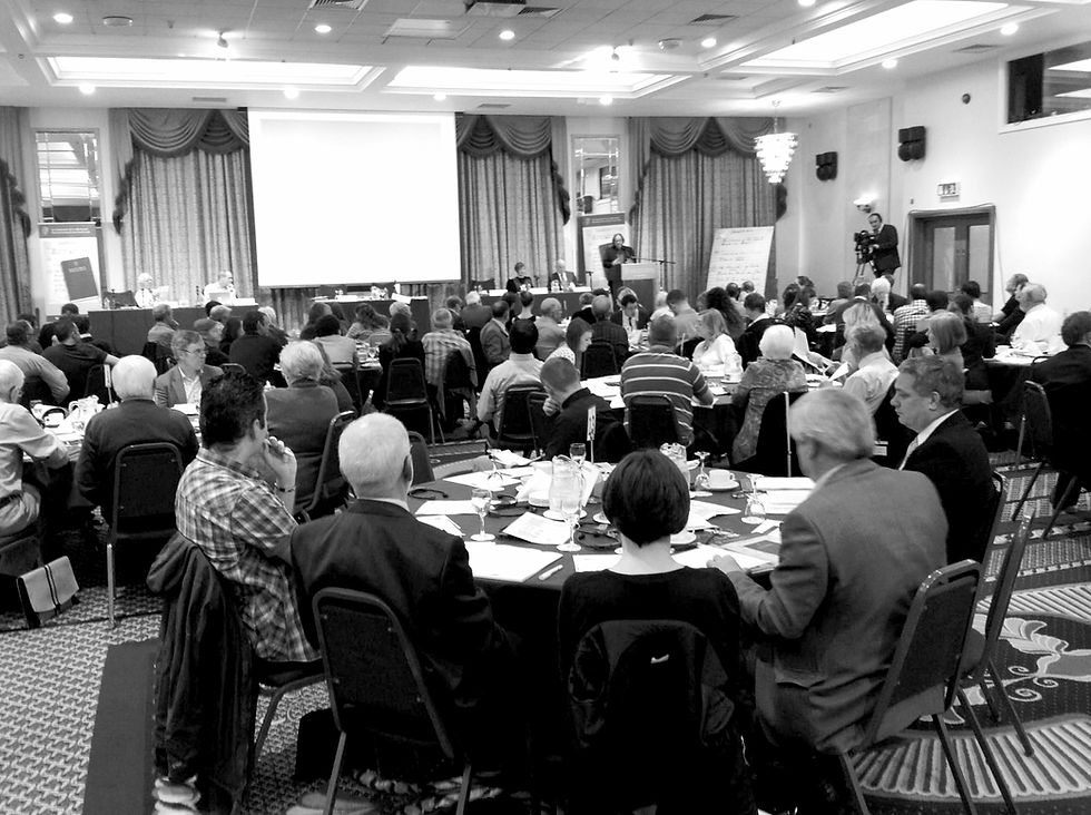 La convention constitutionnelle irlandaise