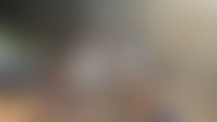 Day 1 - Land of the Tiger, India