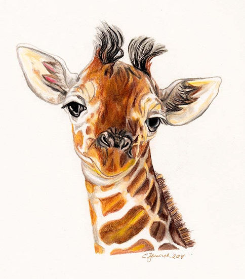 baby giraffe baby's room art