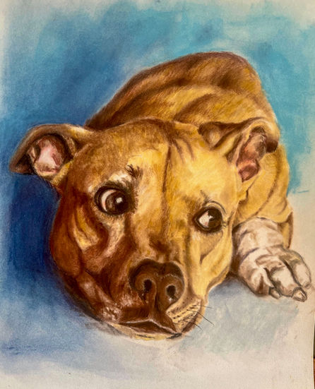 colored pencil commissioned pet portrait