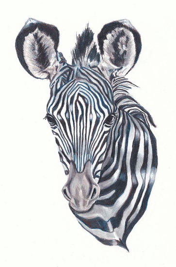 zebra nursery art