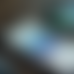 如何下载有道翻译app？