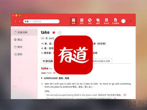 有道翻译权威词典界面截图