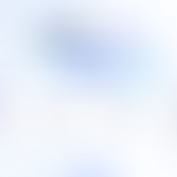 有道翻译AI界面截图