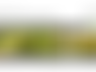 The Croak #2 - Adverse Environmental Changes