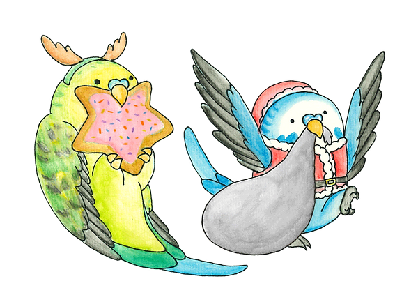 A water colour painting of two budgies. One budgie is nibbling on a Christmas cookie and wearing a reindeer antler headband. The other budgie is dressed up like Santa Clause and carrying a toy sack