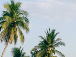 How To Pack Light Without Leaving Essentials Behind
