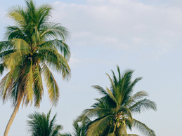 How To Pack Light Without Leaving Essentials Behind