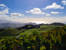 Six Weeks in Ponta Delgada: A Personal Guide to Exploring the Azores