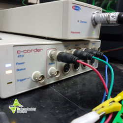 Potensiostat
