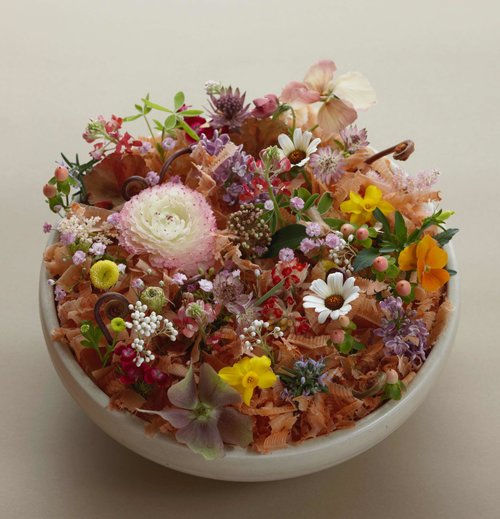 サムネイル： Systematic Designing with the Colours of Blossoms