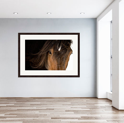 © CSimone_Secret.jpg