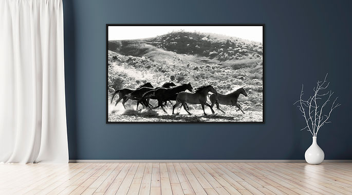 © CSimone_Return to Freedom.jpg