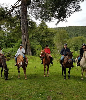horseback chiloe natural.jpg
