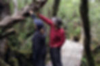 Chiloe National Park
