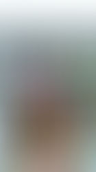 New Art Workshops - Bloom Art Experiences!