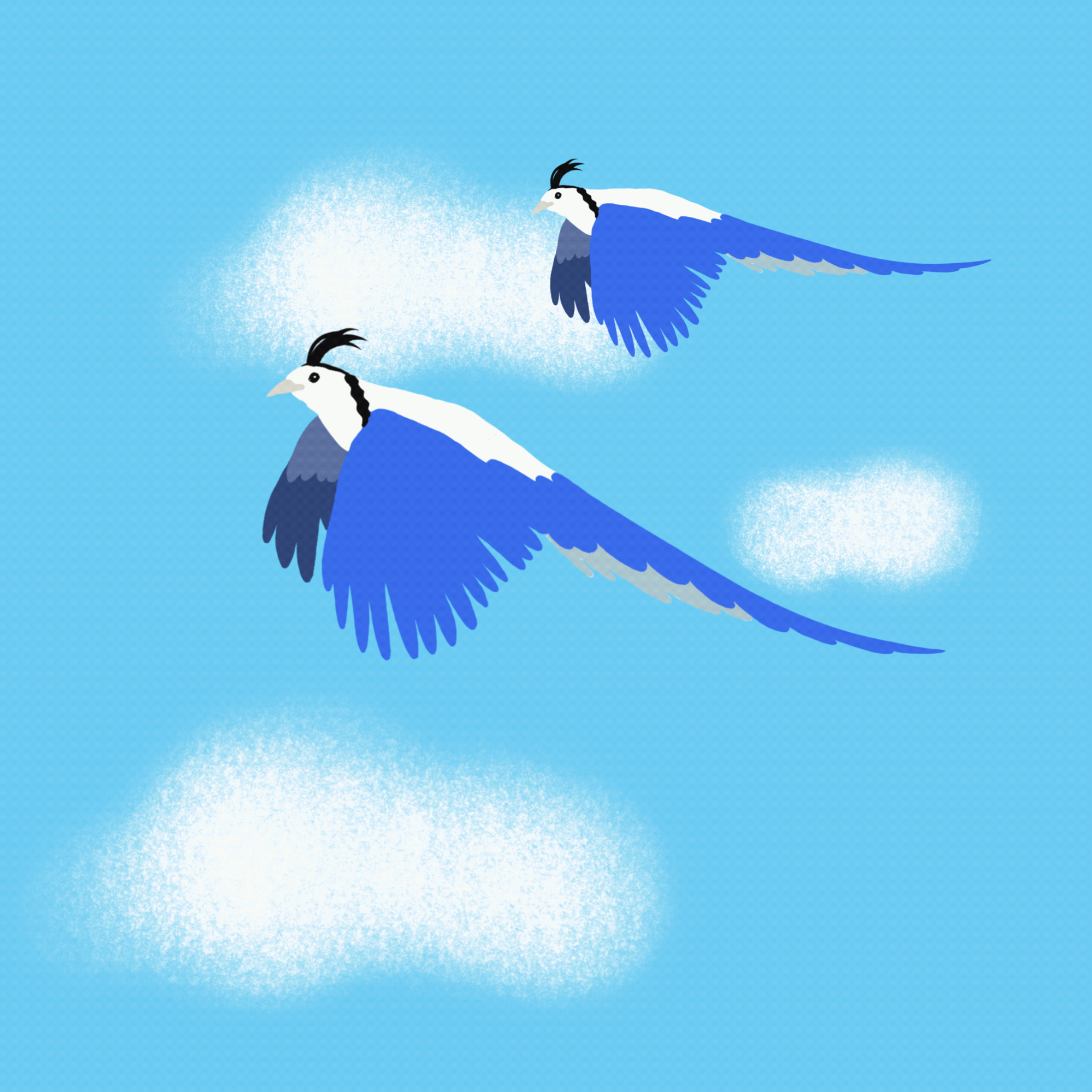 Two_Birds_Flying_Original.gif