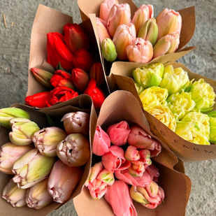 The Art of Arranging: A Simple Guide to Flowers at Home