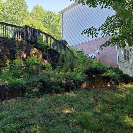 BEFORE - Retaining Wall landscaping idea w/20 foot drop