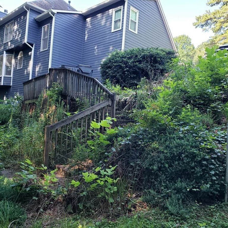 BEFORE - Retaining Wall landscaping idea w/20 foot drop