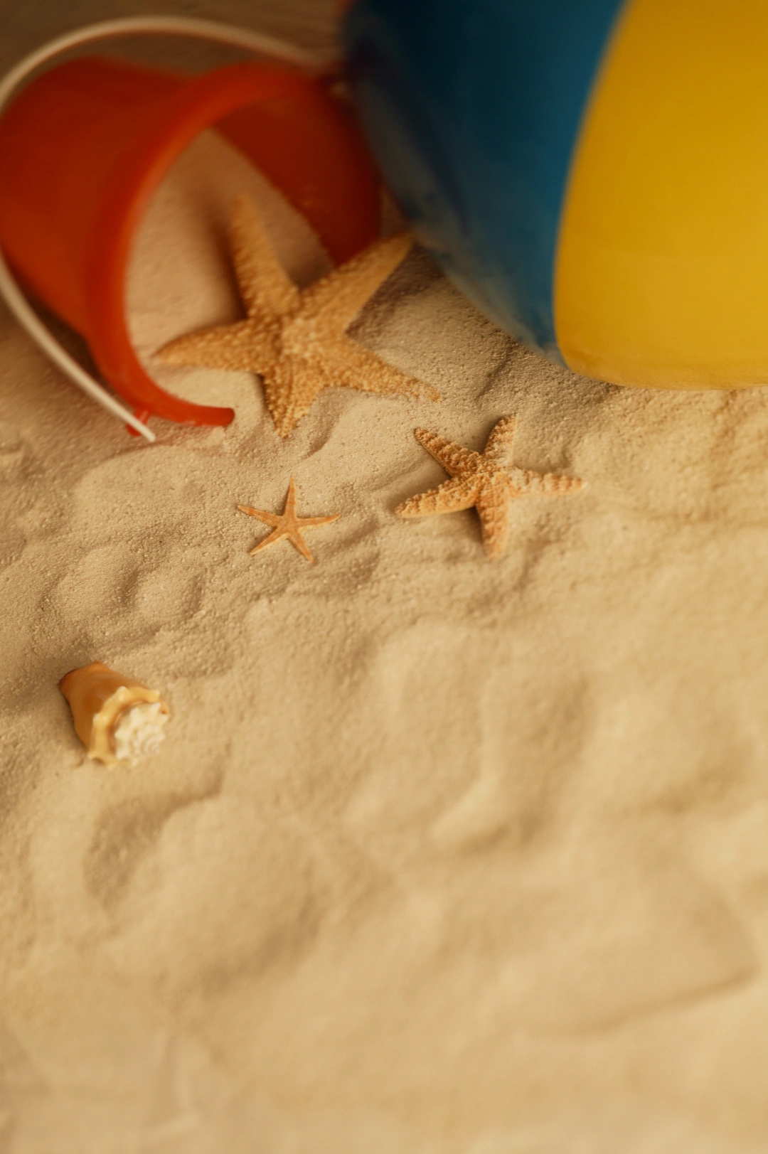A colorful beach bucket lies on sand alongside three starfish and a seashell. 